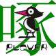 香港啄木鸟